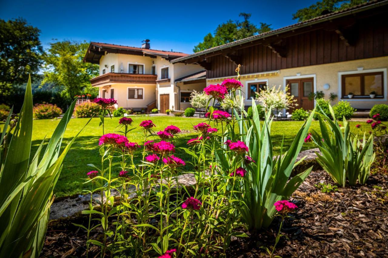 Ferienwohnung Wallmerhof Am Laendlichen Wimberg Adnet Dış mekan fotoğraf